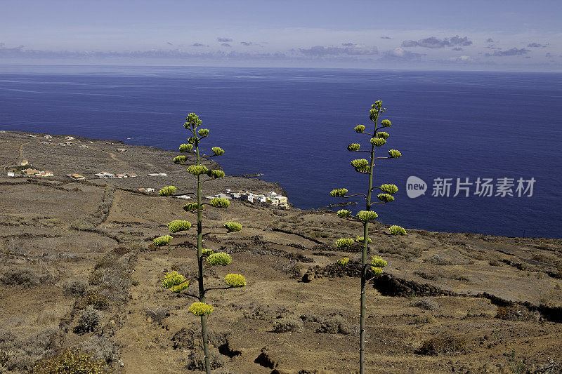 全景，El Hierro，加那利群岛